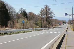 横断歩道のある交差点を左方向へ