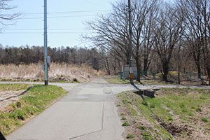 林沿いの突き当りを左へ